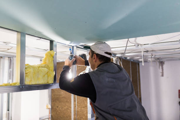 Best Insulation Installation Services in Palm Springs North, FL
