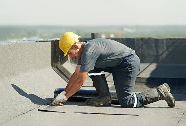 Best Energy Efficiency Solutions in Palm Springs North, FL